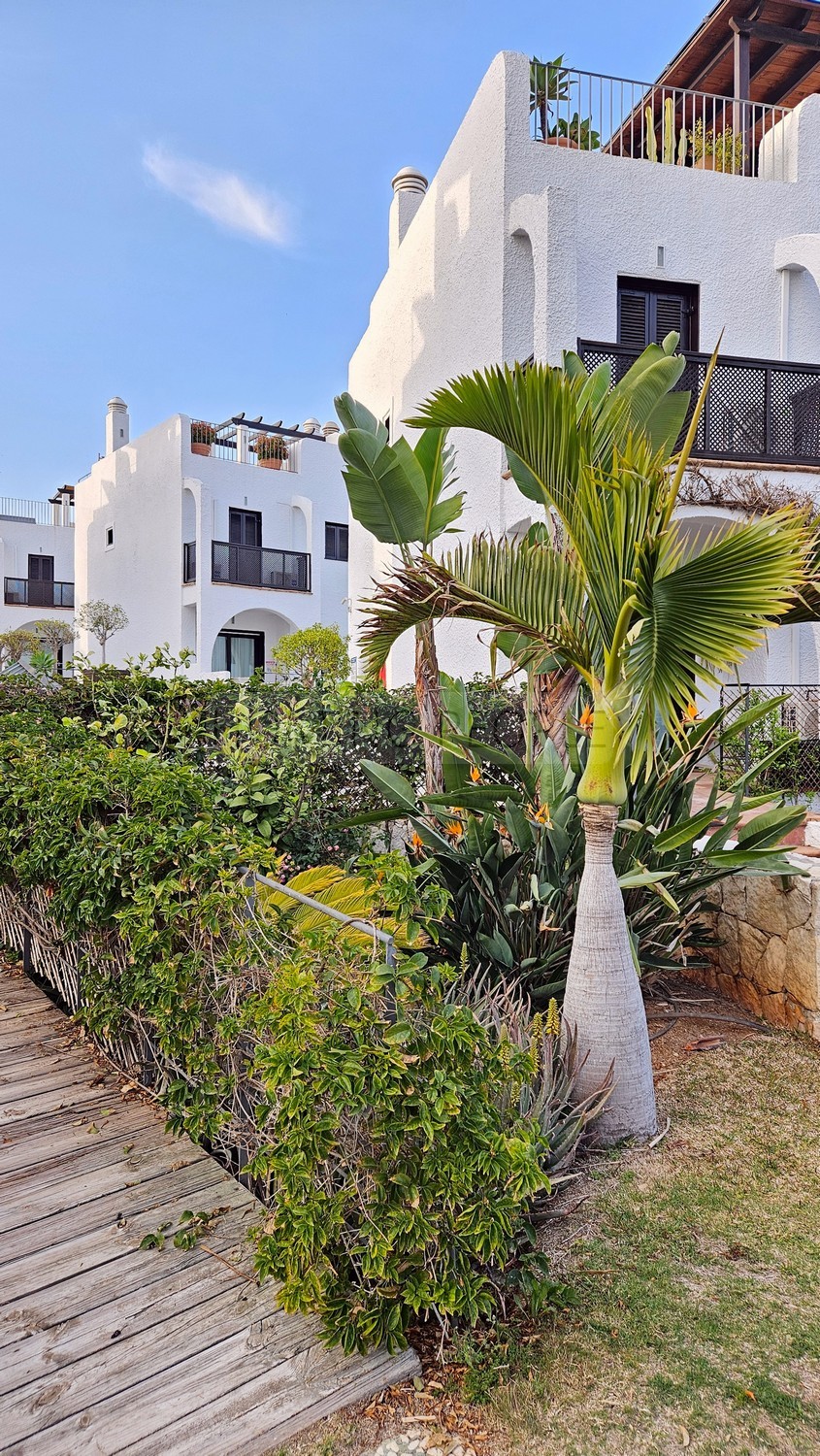 Semiadosado con pequeño jardín, solarium y dos plazas de aparcamiento en residencial con piscina y jardines, todo a sólo 400 m. de la playa