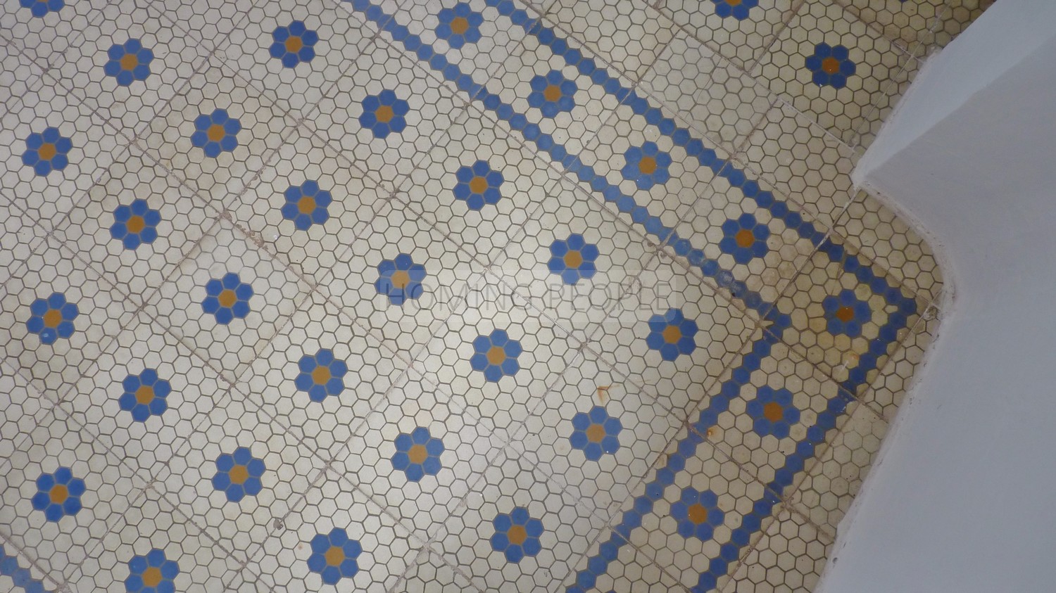 Una propiedad singular: Casa andaluza con mucho jardín y gran piscina... y a distancia a pie del pueblo.