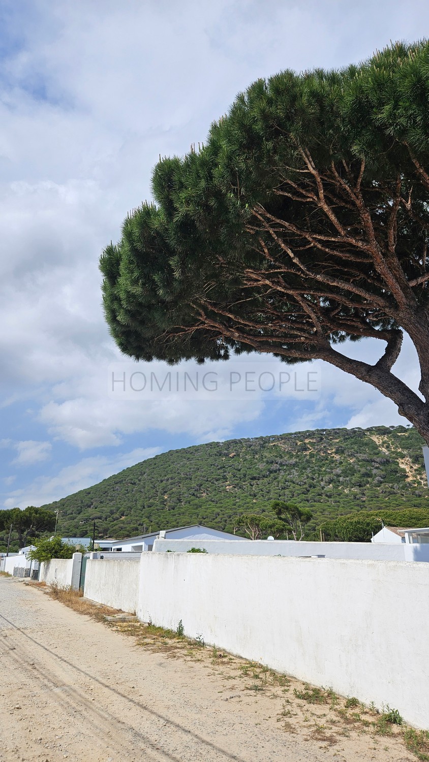 House seasonal in Caños de Meca (Barbate)
