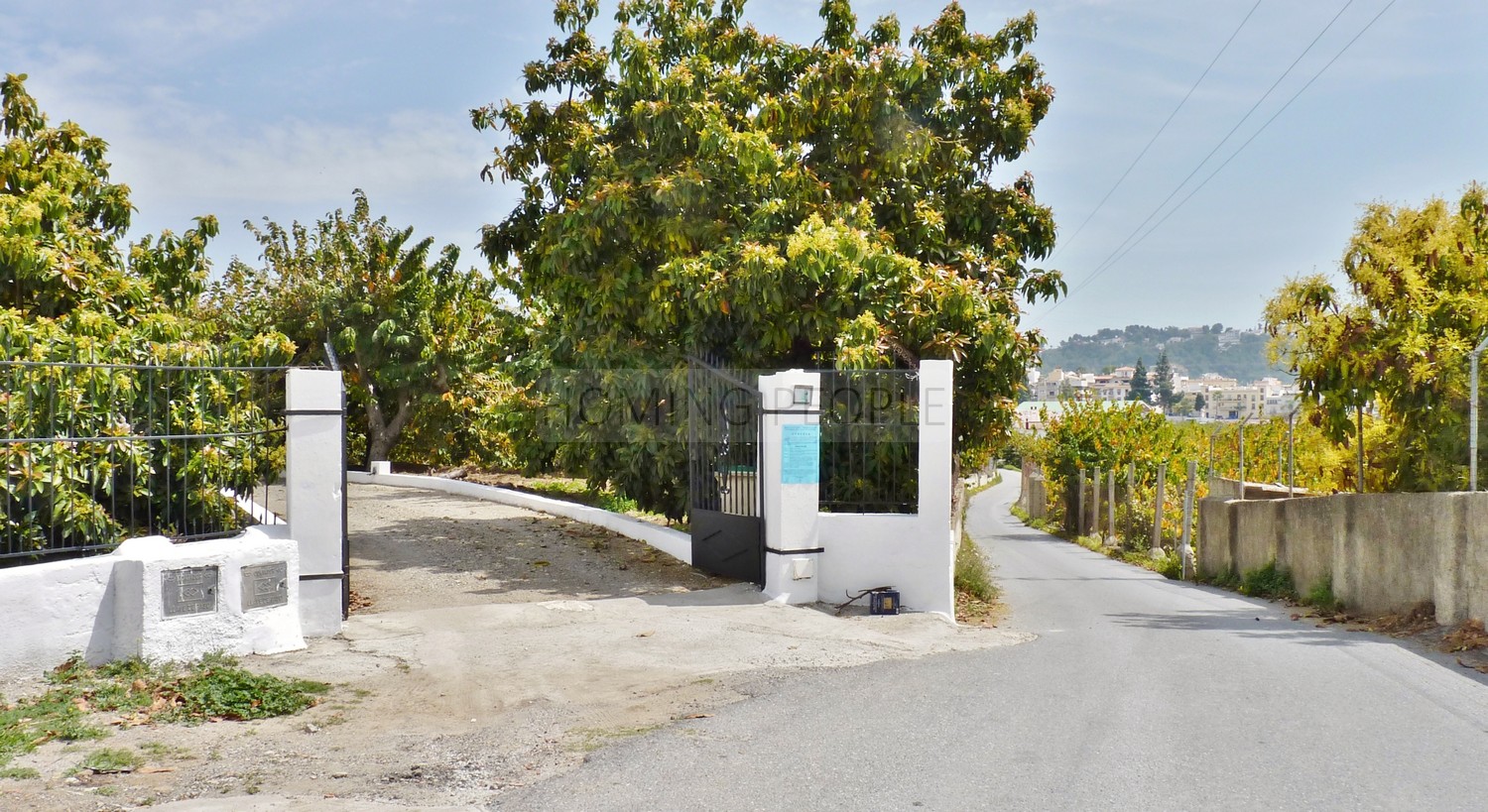 A genuine property: Charming, andalucian house with great garden and pool... yet walking distance to town !