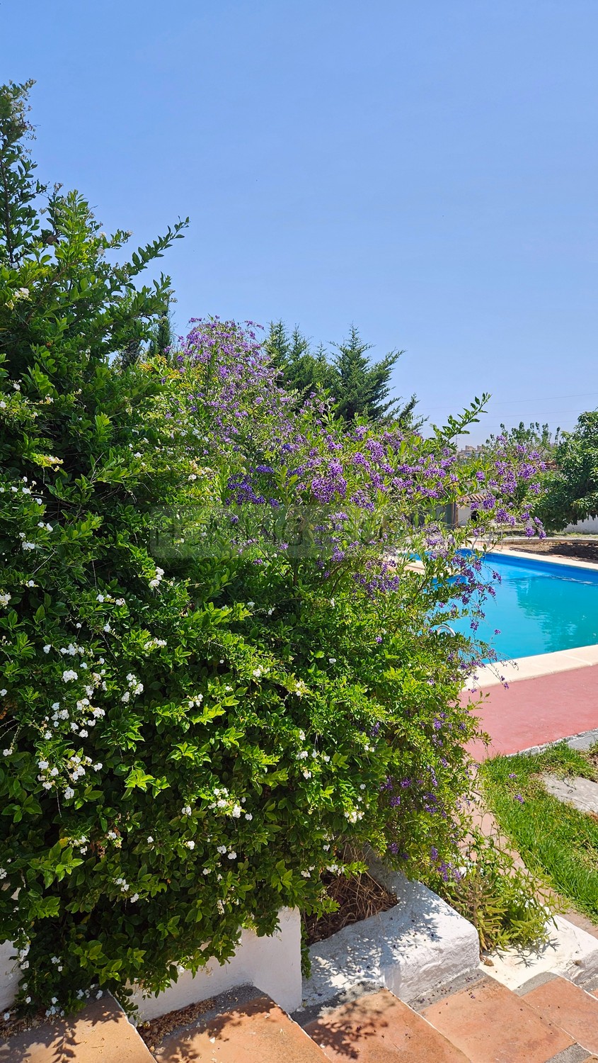 A genuine property: Charming, andalucian house with great garden and pool... yet walking distance to town !