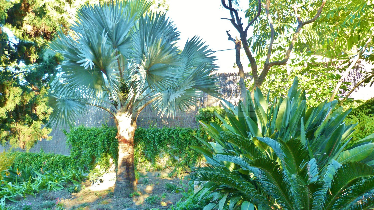 Villa spacieuse, jardins avec beaucoup de charme