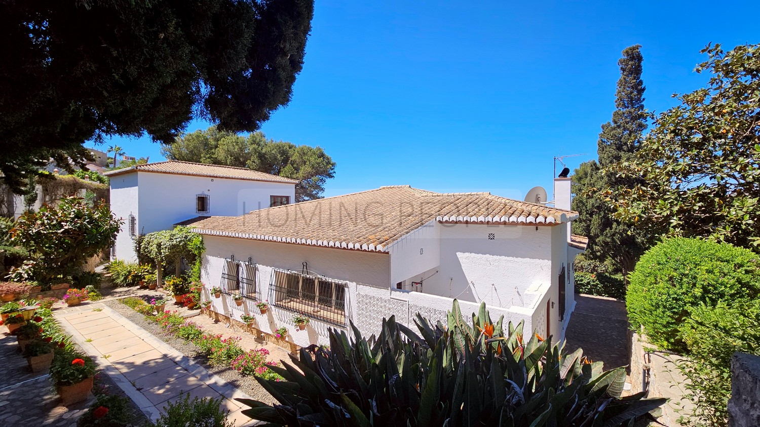 Great, charming villa with mature gardens