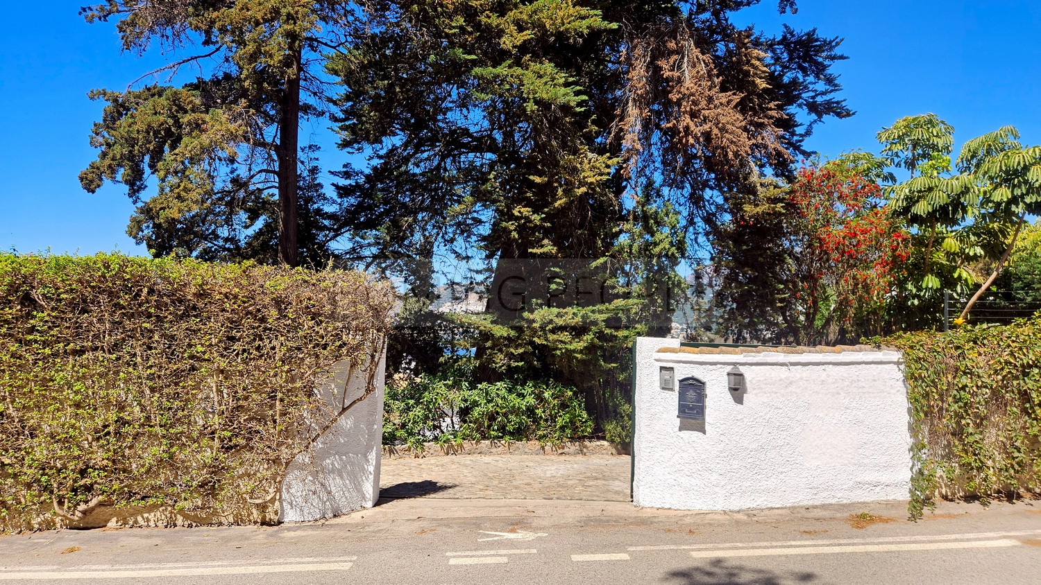 Great, charming villa with mature gardens