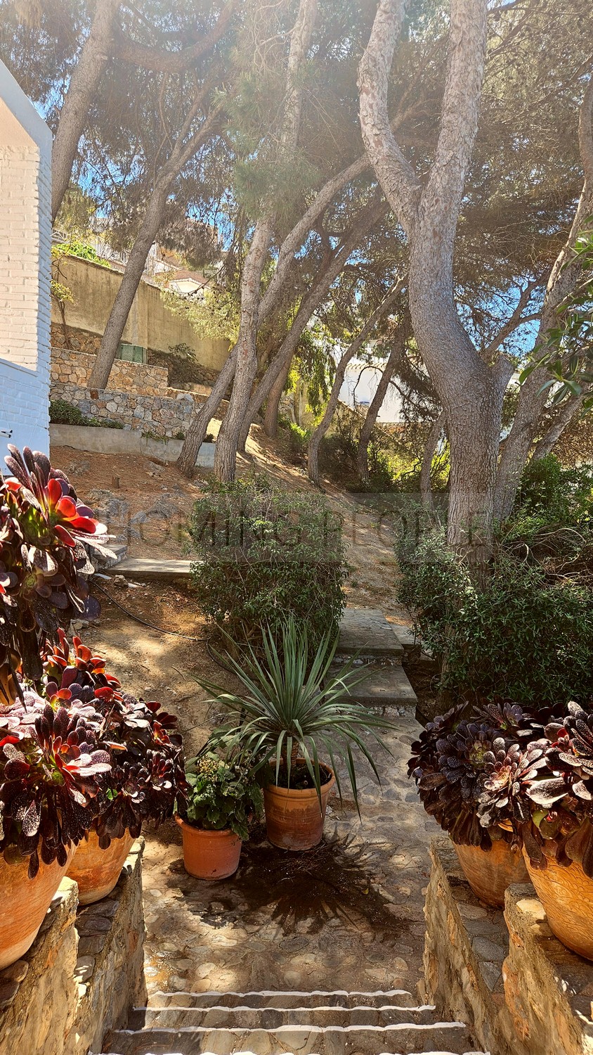 Great, charming villa with mature gardens