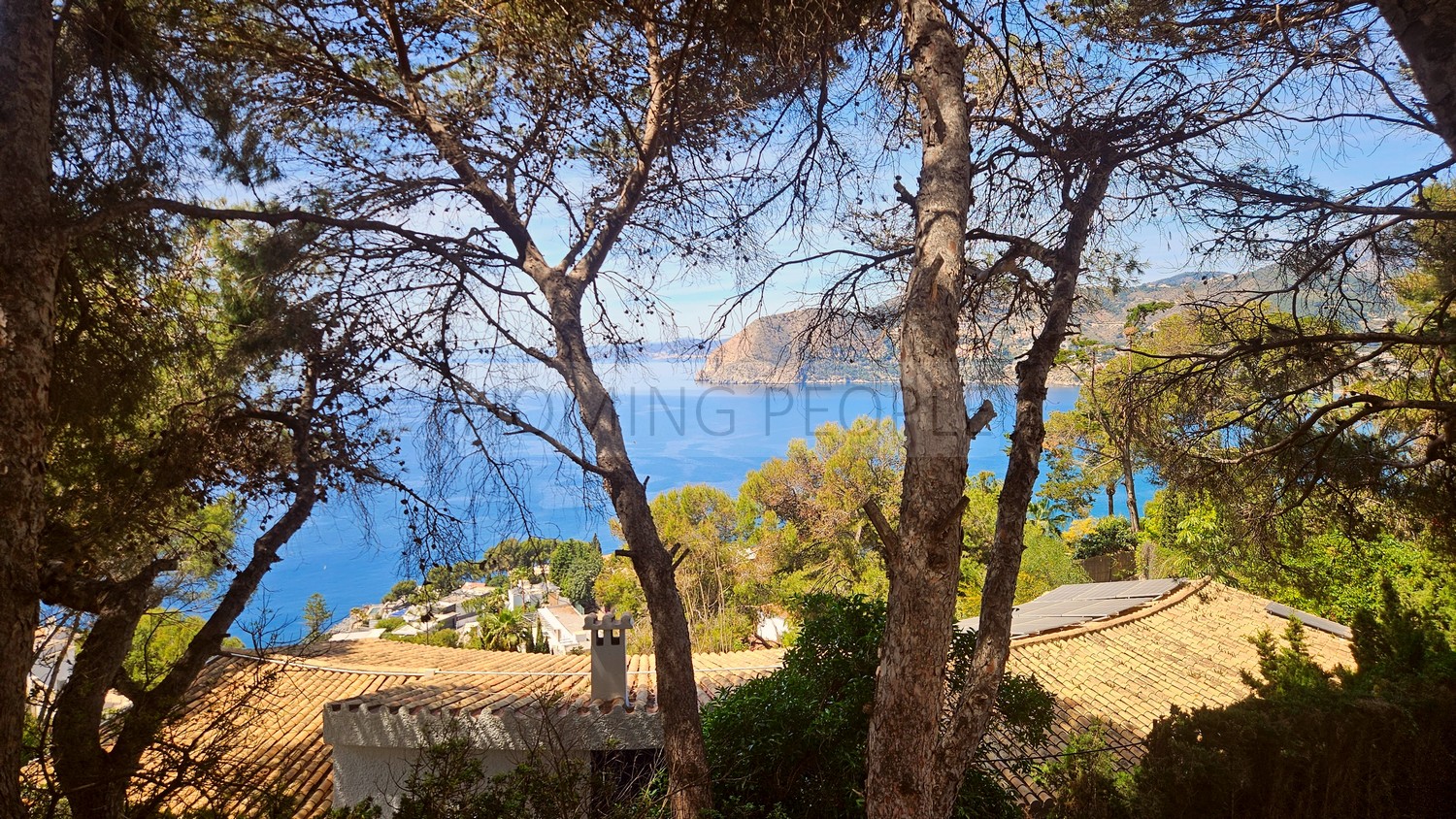 Great, charming villa with mature gardens