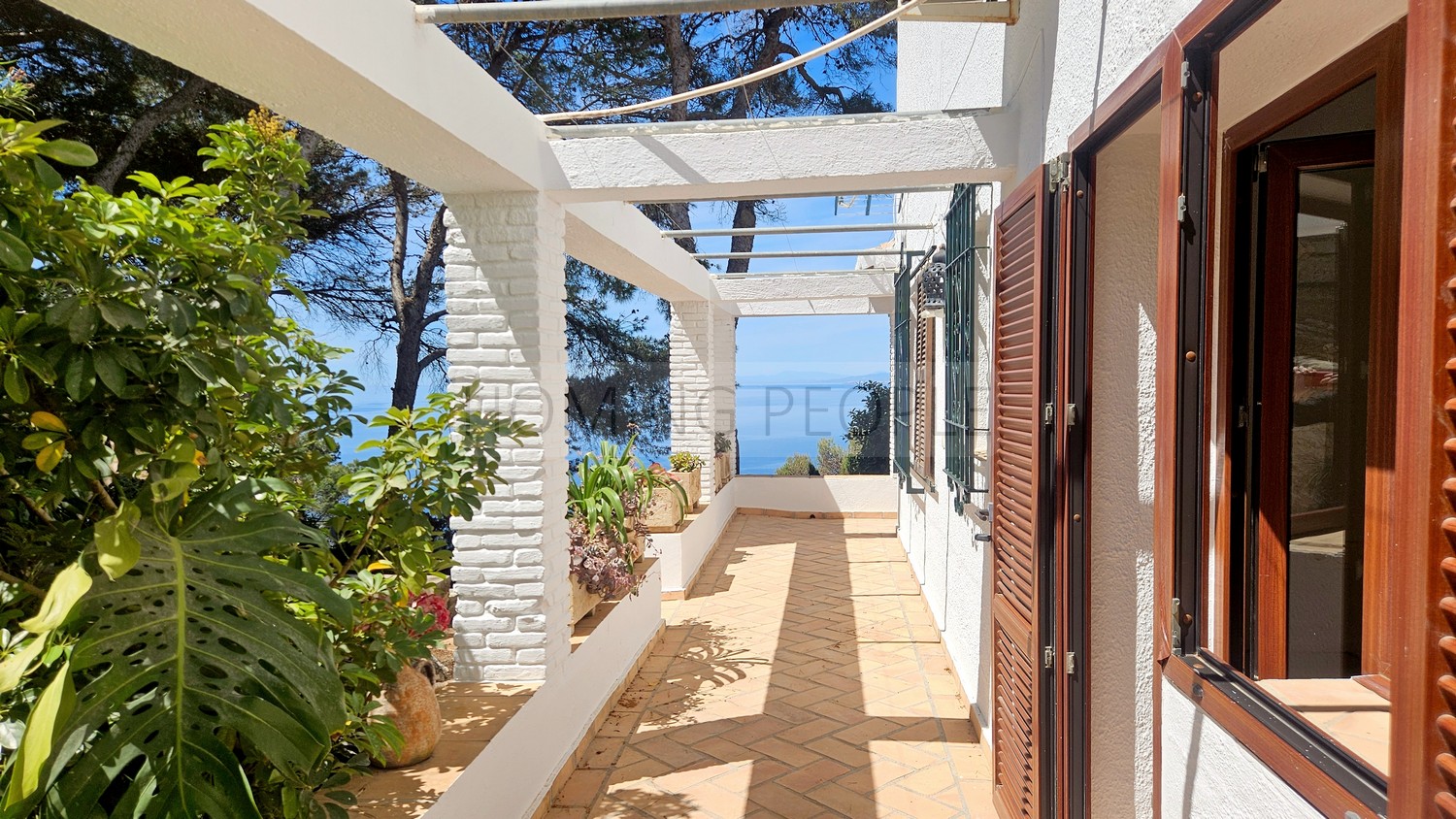 Great, charming villa with mature gardens