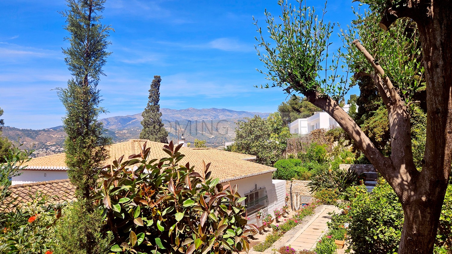 Great, charming villa with mature gardens