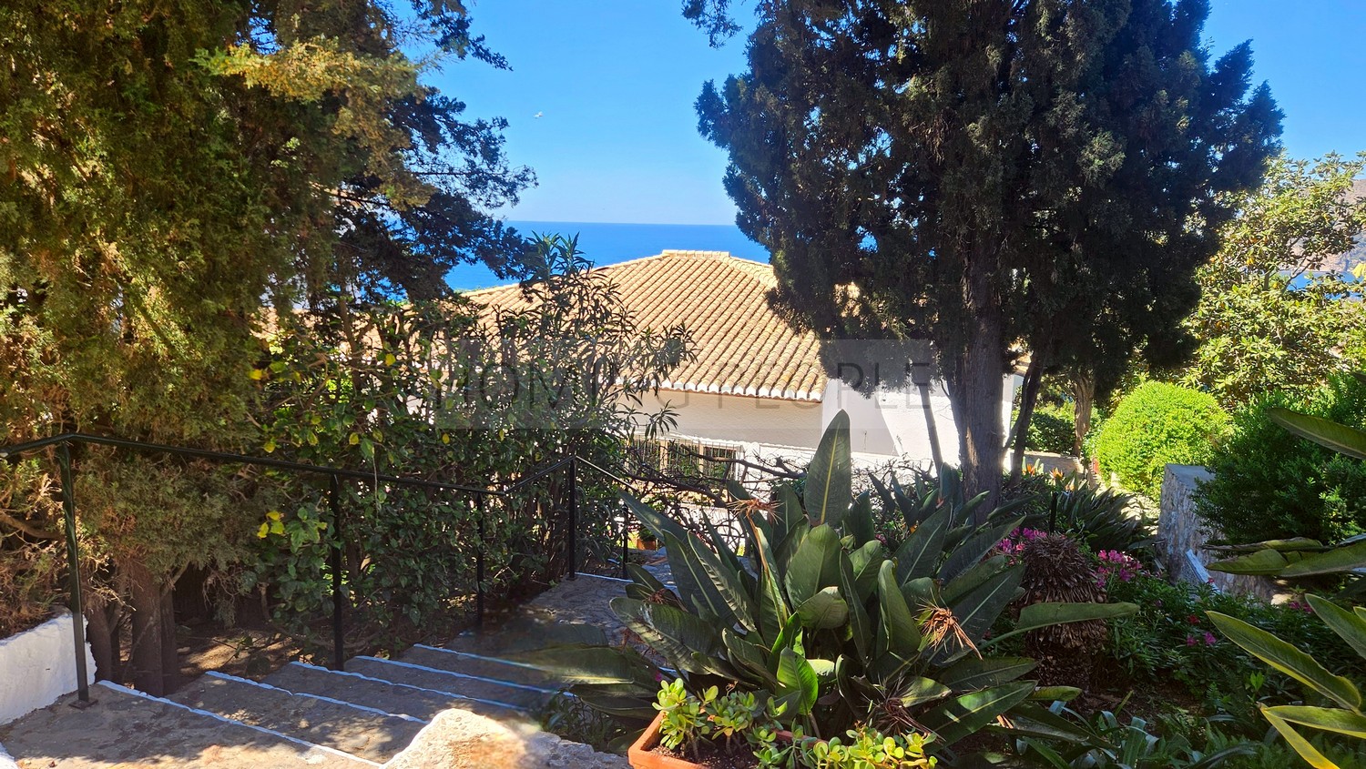 Great, charming villa with mature gardens