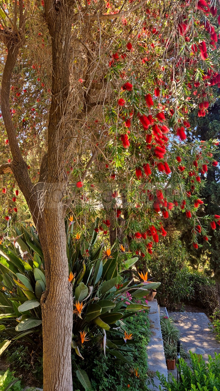 Great, charming villa with mature gardens