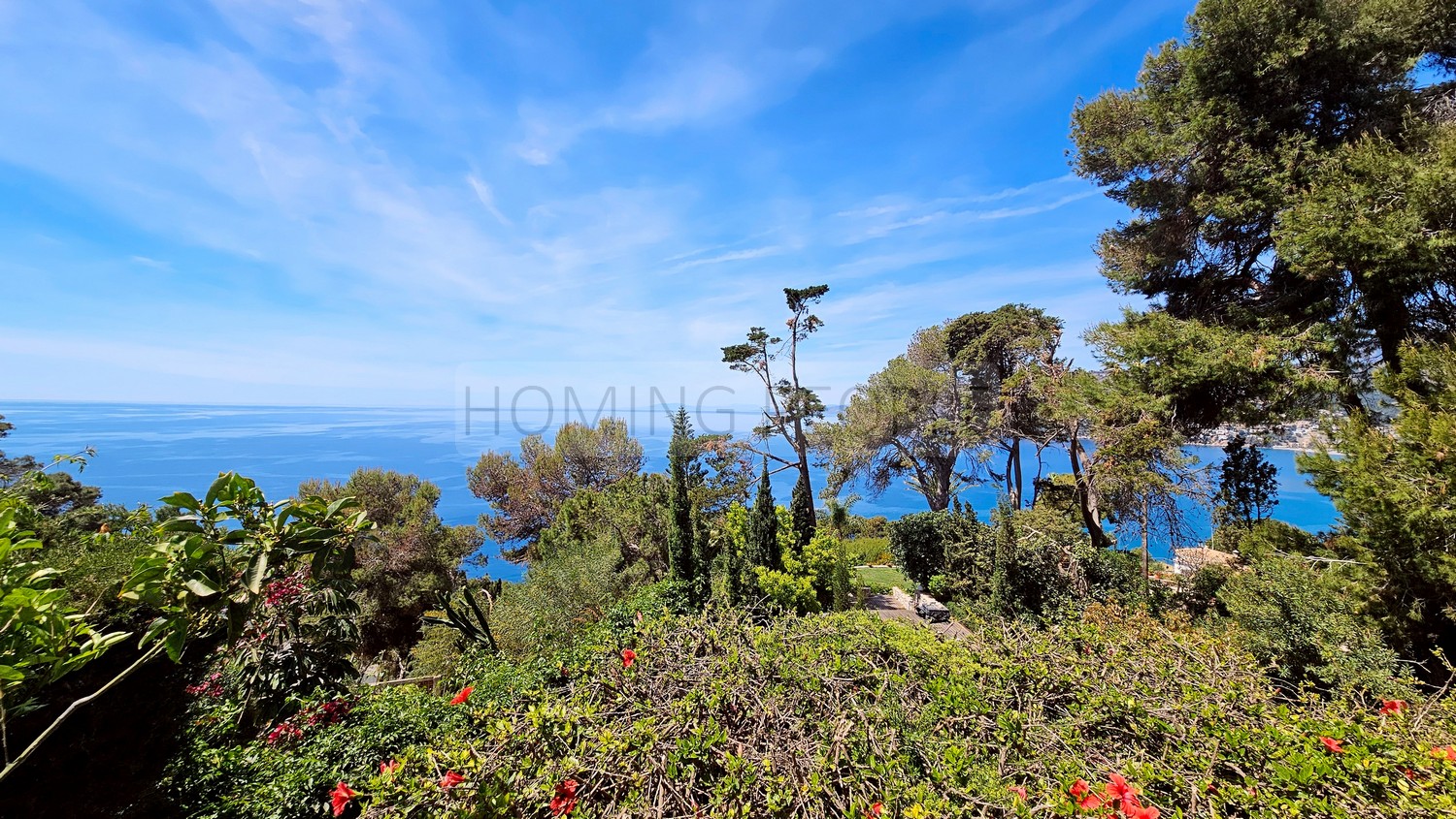 Great, charming villa with mature gardens