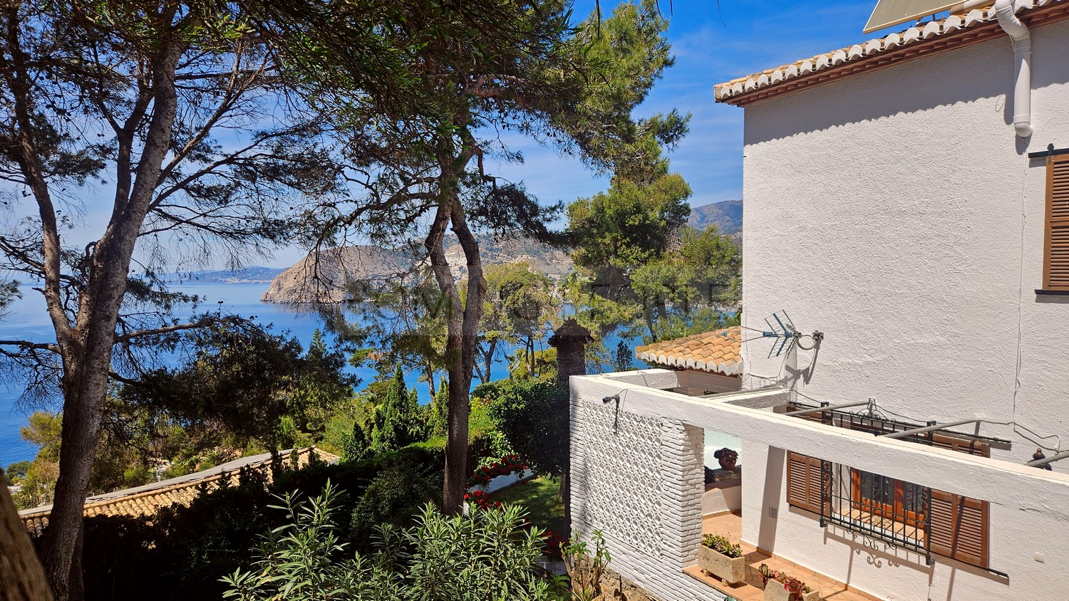 Great, charming villa with mature gardens