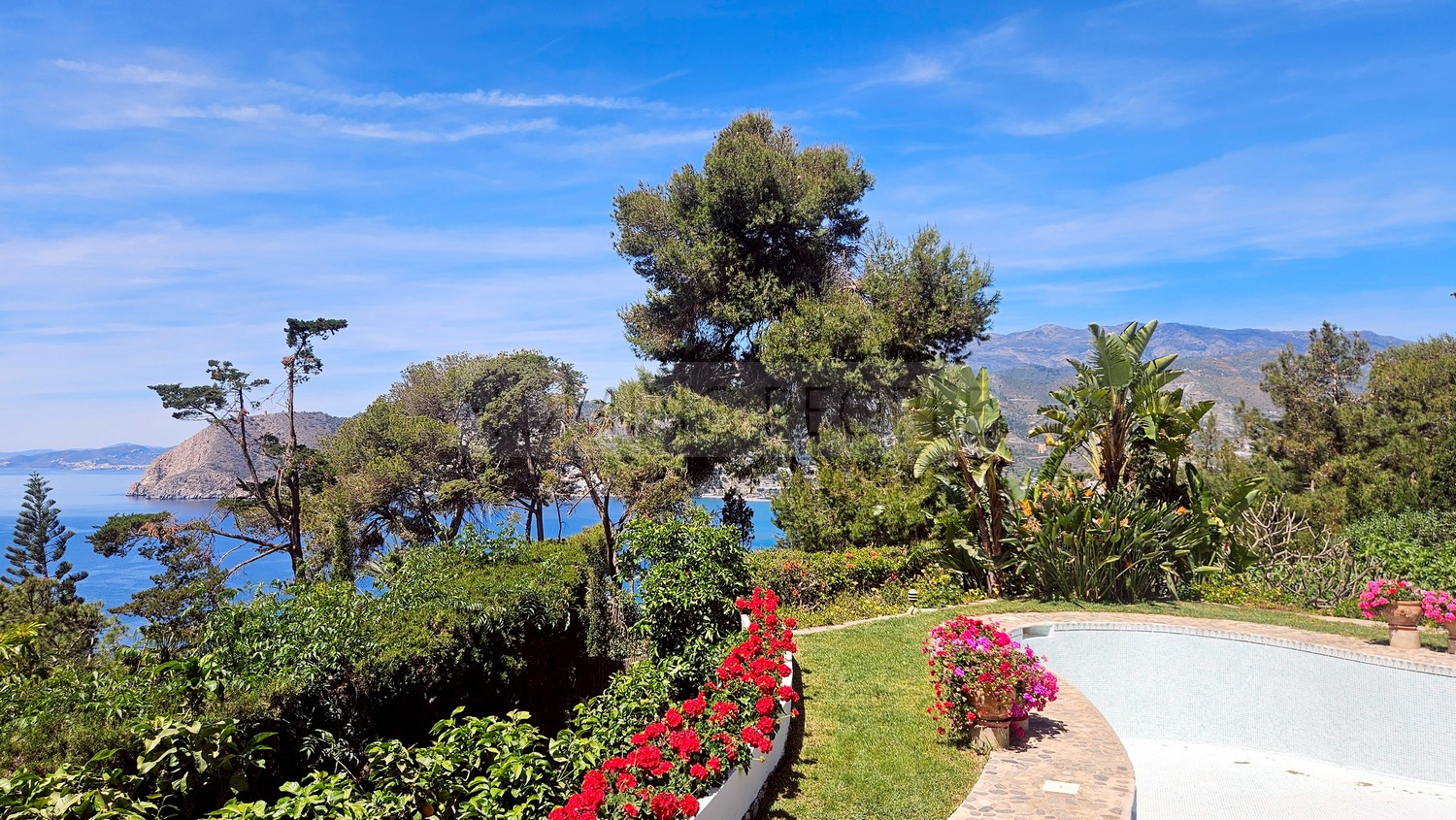 Great, charming villa with mature gardens