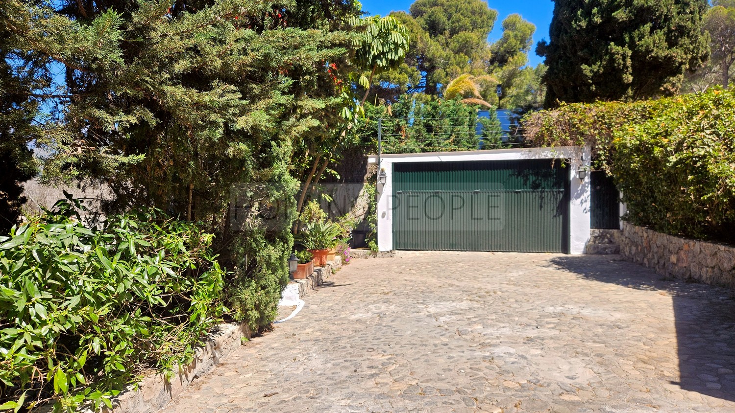 Great, charming villa with mature gardens
