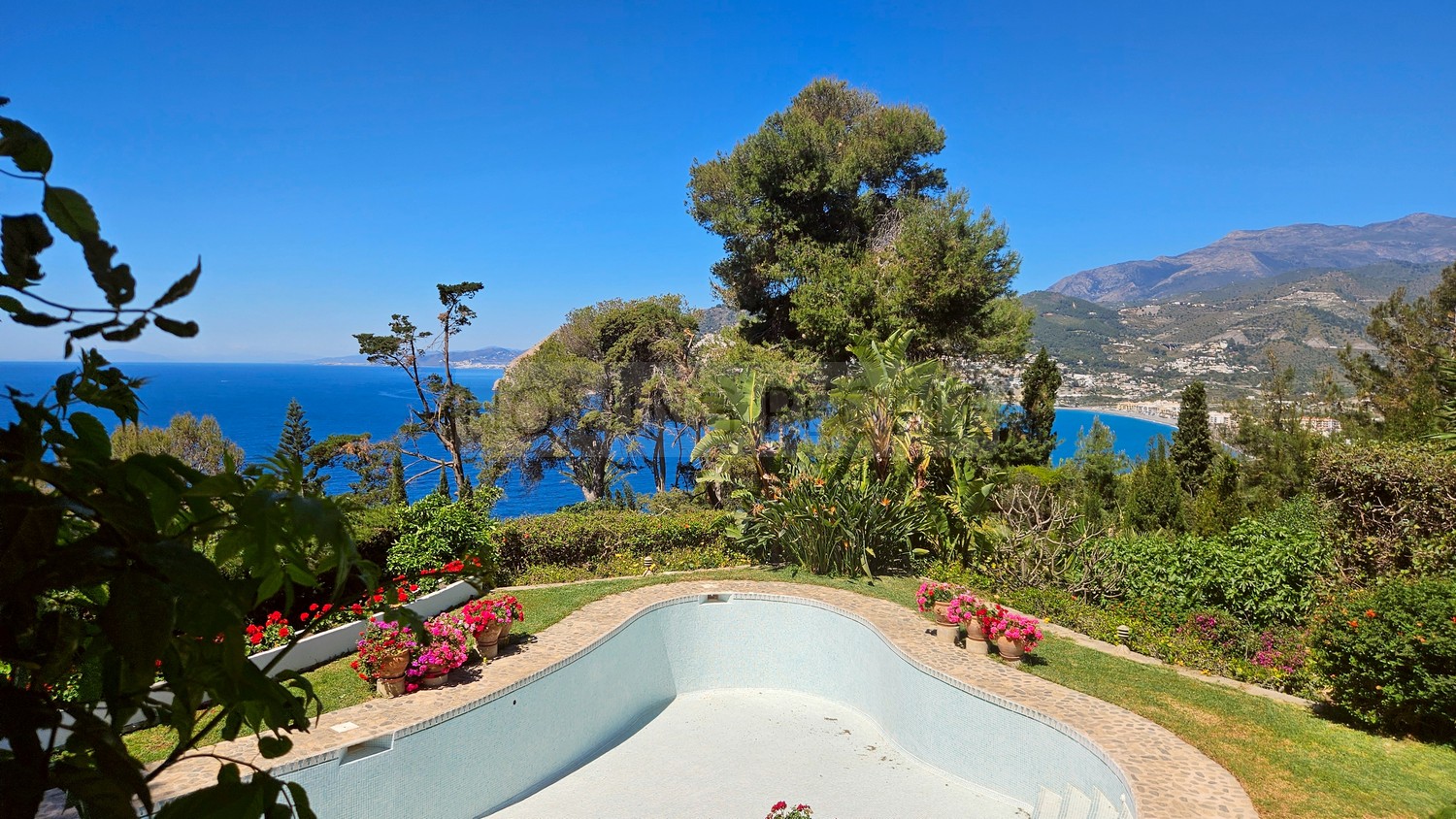 Great, charming villa with mature gardens