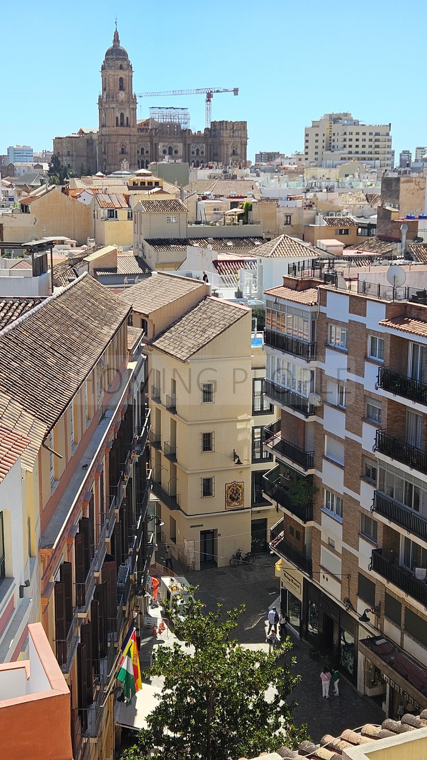 Atico muy bien equipado y situado, con terraza y azotea con vistas a 360 º