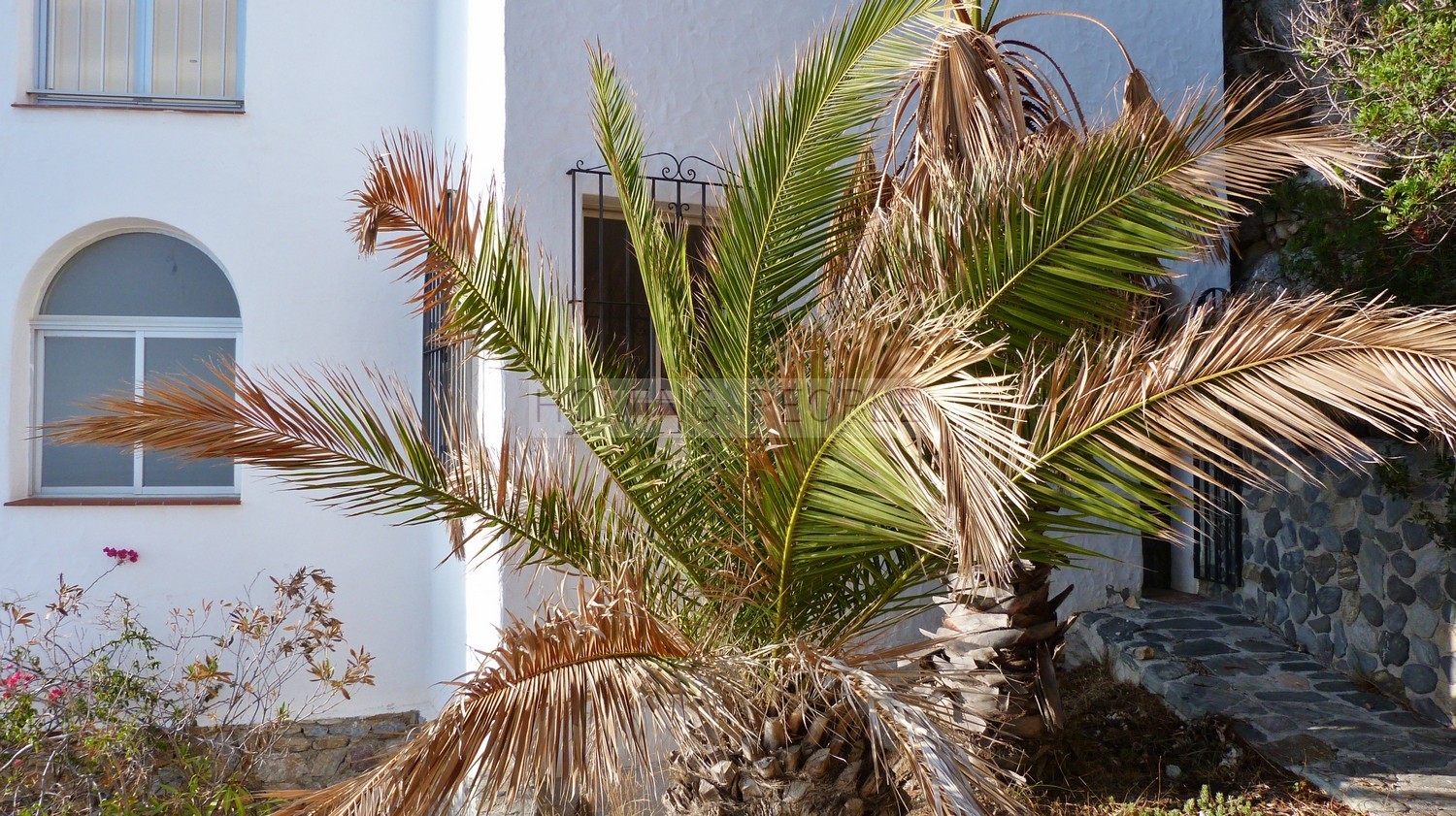 Parque natural frente al mar y acantilados con vecinos cerca