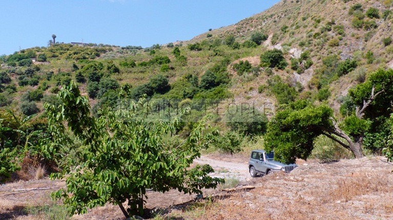 Cortijo con dos casas adosadas a reformar con mucho potencial, entorno natural y aislado bordeando un arroyo