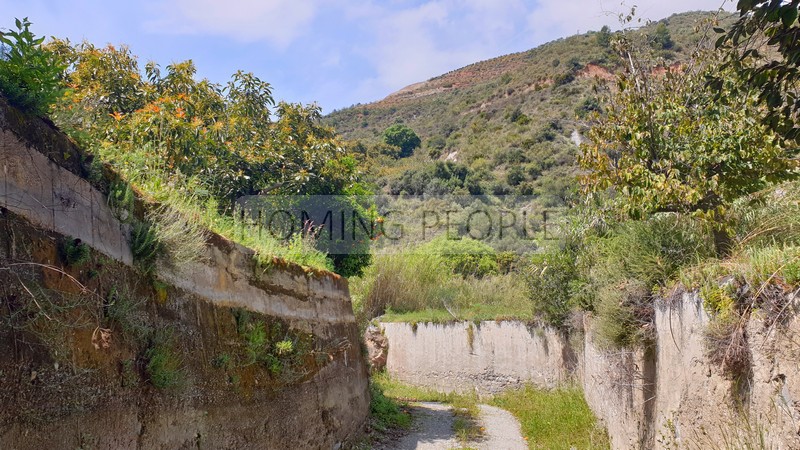 Cortijo con dos casas adosadas a reformar con mucho potencial, entorno natural y aislado bordeando un arroyo