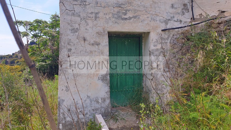 Cortijo con dos casas adosadas a reformar con mucho potencial, entorno natural y aislado bordeando un arroyo